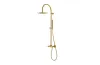 LIGNAGE, Душова система зі змішувачем, brushed gold (100304084)  зображення 1