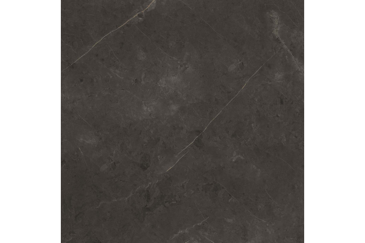 G392 KARACHI GREY L 120x120 (плитка для підлоги і стін) image 4