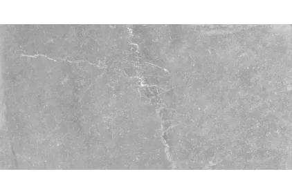 BLEUEMIX TAUPE 60x120 (плитка для підлоги і стін)