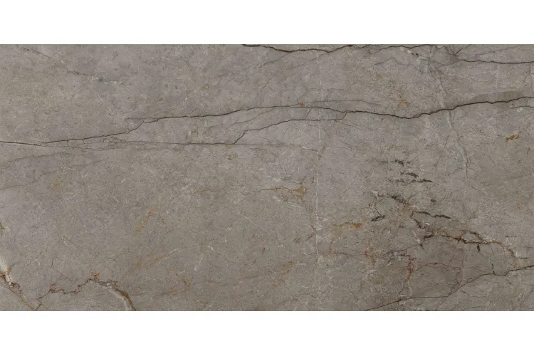 G1053  ASTANA GREY POLISHED 03 6 MM 160x320 (плитка настінна) зображення 1