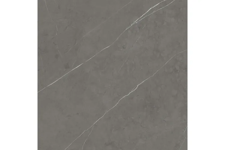 G2528 LIEM GREY NATURE 120x120 (плитка для підлоги і стін) image 1