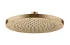 Верхній душ Axor 245 1jet EcoSmart, Brushed Brass (35381950) зображення 1