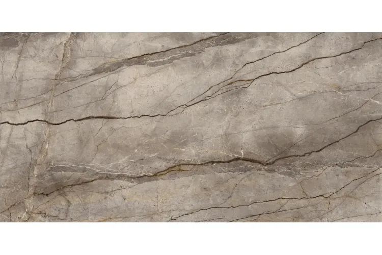 MP45 GRANDE STONE LOOK SILVER ROOT GREY 3D INK NAT RET 120х278 (плитка для підлоги і стін) image 1