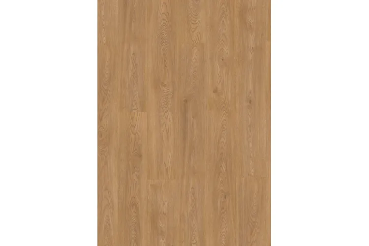 Roble VIENA DORADO 361B Wood Impression 133.1х19.4 Finfloor Durable Evolve 4MV 33 кл 8 мм (ламінат) зображення 1