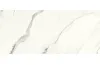 G2504 ARIA WHITE POLISHED 120x270 (плитка настінна) image 1