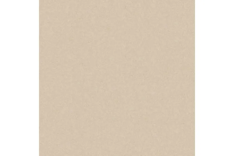 MONOLIGHT EXTERIOR BEIGE R10 RECT. 59,7х59,7 9,5 мм (плитка для підлоги і стін) зображення 1