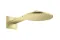 Верхній душ Axor 250 1jet з тримачем, Brushed Brass 35284950