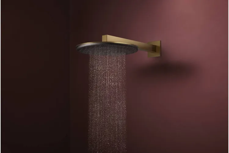 Верхній душ Raindance Alive S 300 2jet з тримачем Brushed Bronze (24540140) зображення 3