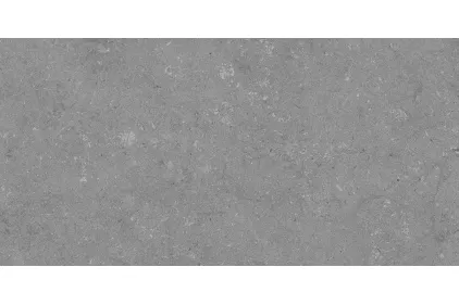 TOSCANA GREY 60x120 (плитка для підлоги і стін)