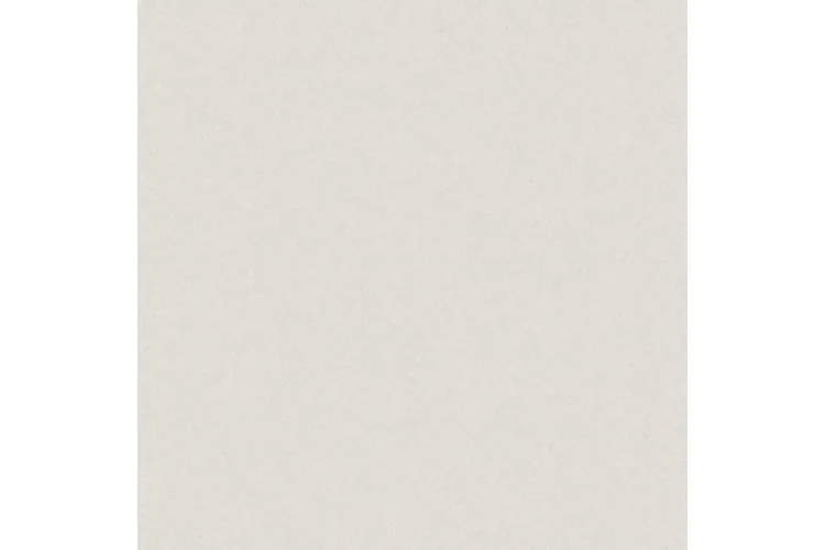 MONOLIGHT EXTERIOR WHITE R10 RECT. 59,7х59,7 9,5 мм (плитка для підлоги і стін) зображення 1