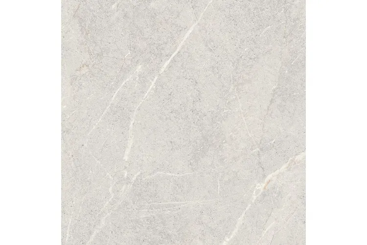 DOLOMIA LIGHT GREY MATT 59.8х59.8 (плитка для підлоги і стін) image 1