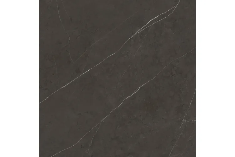 G2530 LIEM DARK POLISHED 120x120 (плитка для підлоги і стін) image 1