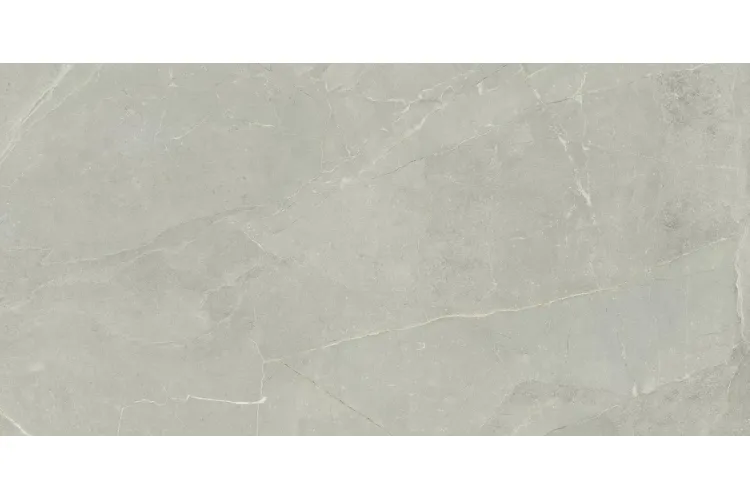 FILLSTONE GREY POLPOLER 119.8х59.8 (плитка для підлоги і стін) 8 мм зображення 1