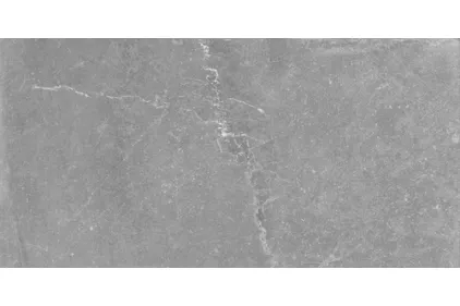 BLEUEMIX GREY 60x120 (плитка для підлоги і стін)