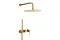 Змішувач для душу - з душовим комплектом MOZA brushed gold 5039-511-31