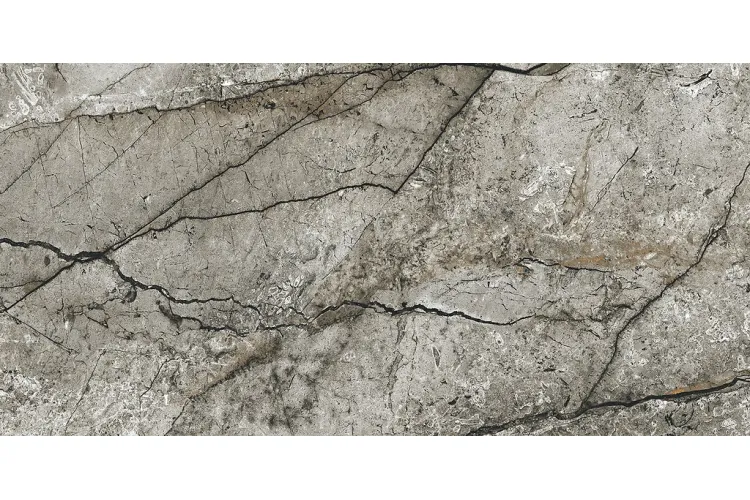 MARBLE SKIN GREY MATT 59.8х119.8 (плитка для підлоги і стін)  image 3