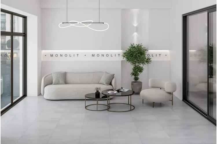 MONOLIT світло-сірий 60х60 matt (плитка для підлоги і стін) image 2