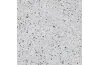 ROBSON SILVER 66X66 (плитка для підлоги і стін) image 3