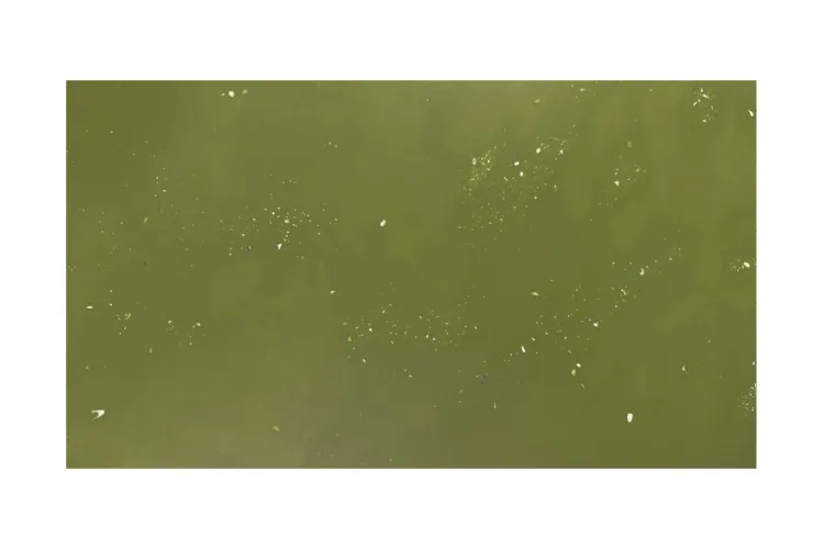 Мікроцемент Marmorino Unico FINA LASTRICO (колір зелений, мушлі) зображення 1