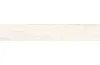 ARTWOOD WHITE 20x120 (плитка для підлоги і стін) зображення 1