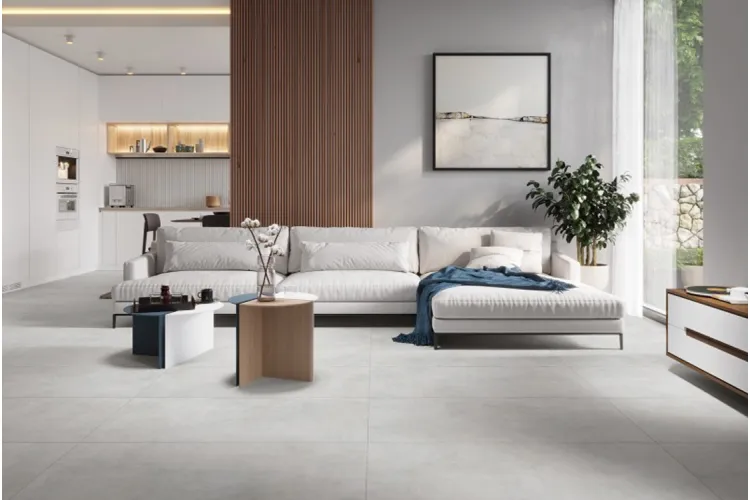 DIOSA LIGHT GREY 59.7х119.7 (універсальна) зображення 2