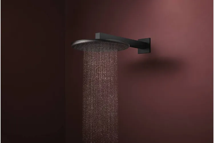 Верхній душ Raindance Alive S 300 2jet з тримачем Matt Black (24540670) зображення 3