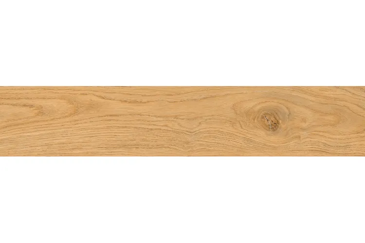 MOSSA HONEY 60х11 (плитка для підлоги і стін) зображення 1