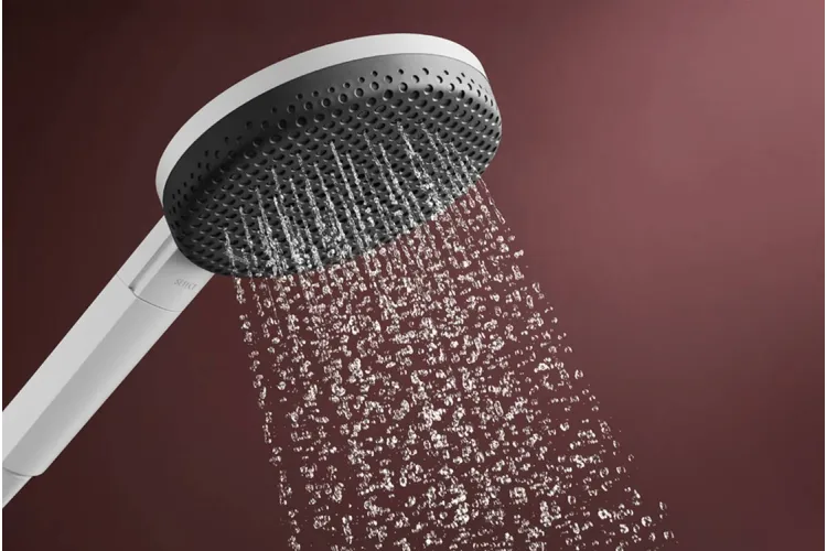 Ручний душ Raindance Alive Select S 3jet EcoSmart  Matt White  (24511700) image 5