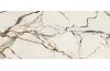 G2705 PAONAZZO BIONDO POLISHED 04 120x270 (плитка настінна) зображення 1