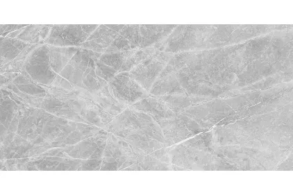 THE STONE сірий 60х120 matt (плитка для підлоги і стін)