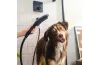 Ручний душ DogShower 150 3Jet Matt Black (26640670) image 2