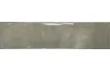 EARTH ASH GLOSS 7.5х30 (плитка настінна) image 1