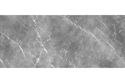 ELEMENTS LUX PERSIAN GREY SILKY RT 120х278 (ECN2) (плитка для підлоги і стін)