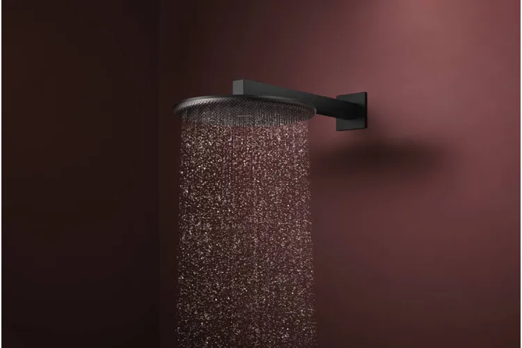 Верхній душ Raindance Alive S 300 2jet з тримачем Matt Black (24540670) зображення 2