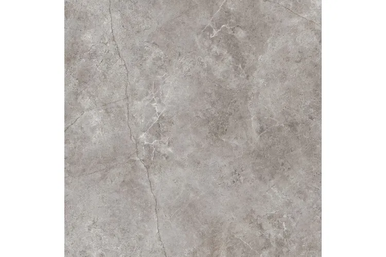 G2530 FIORI DI BOSCO POLISHED 120x120 (плитка для підлоги і стін) зображення 1