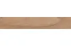 ARTWOOD NATURAL 20x120 (плитка для підлоги і стін) зображення 1