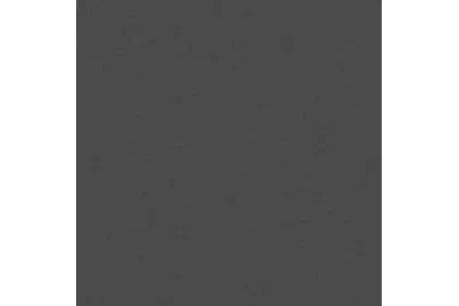 MONOLIGHT EXTERIOR ANTHRACITE R10 RECT. 59,7х59,7 9.5 мм (плитка для підлоги і стін)