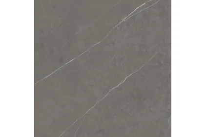 G2528 LIEM GREY NATURE 120x120 (плитка для підлоги і стін)