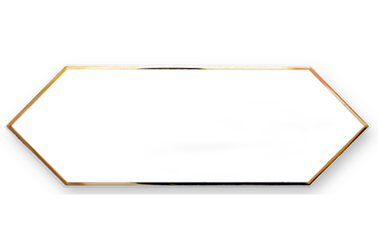 DECOR ZENITH GOLD WHITE 10x30 декор (плитка настінна) зображення 1