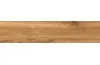NOELWOOD HONEY 60х11 (універсальна) image 3