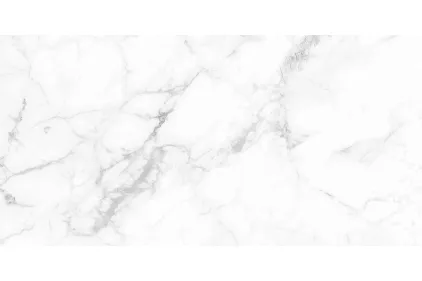 CALACATTA SILVER білий 60х120 matt (плитка для підлоги і стін) AG0980