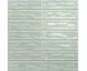 STICKS FERN 20x20 см (2,5х10) (плитка настінна)