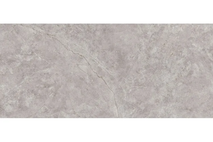 G2704 FIORI DI BOSCO POLISHED 04 120x270 (плитка настінна) image 1
