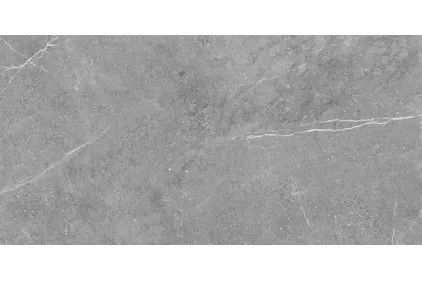 VIPER GRAPHITE 59.7х119.7 (плитка для підлоги і стін)