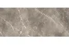 ELEMENTS LUX PERSIAN GREY SILKY RT 120х278 (ECN2) (плитка для підлоги і стін) зображення 1