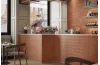TERRE ARROW TANDOORI 20x20 см (1,5x10) декор (плитка настінна) image 2