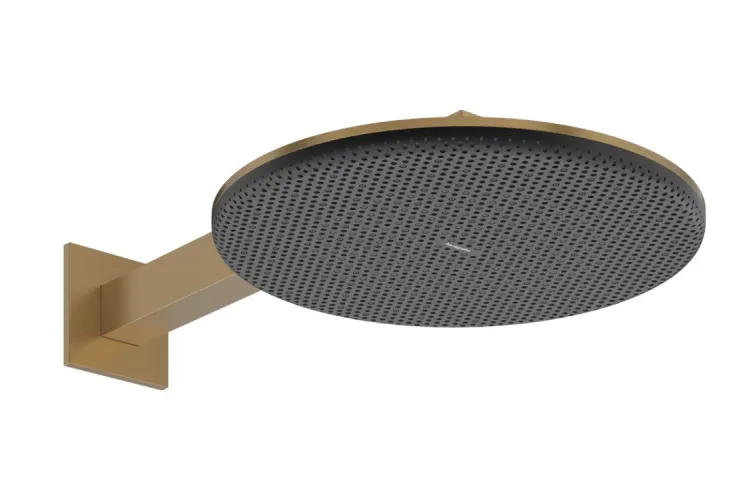 Верхній душ Raindance Alive S 300 2jet EcoSmart з тримачем Brushed Bronze (24541140) зображення 1