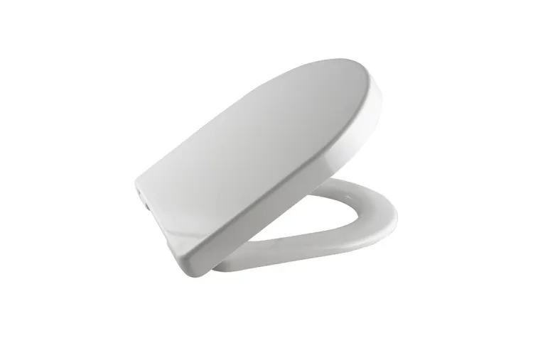 ARQUITECT, Сидіння для унітазу з функцією Soft-Close, white (100328604) зображення 1