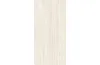 TRAVINO CREMA I SHEEN L 60х120 (плитка для підлоги і стін) image 2