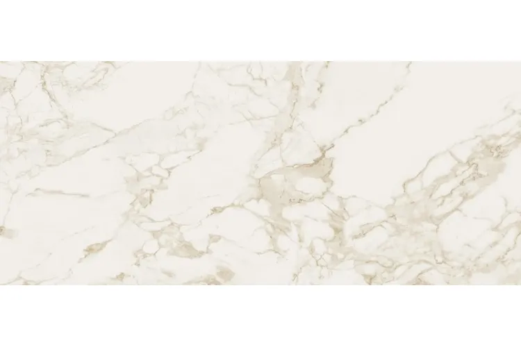 ROMA CALACATTA SILK RT 120х278 (плитка для підлоги і стін)  fOWR зображення 1